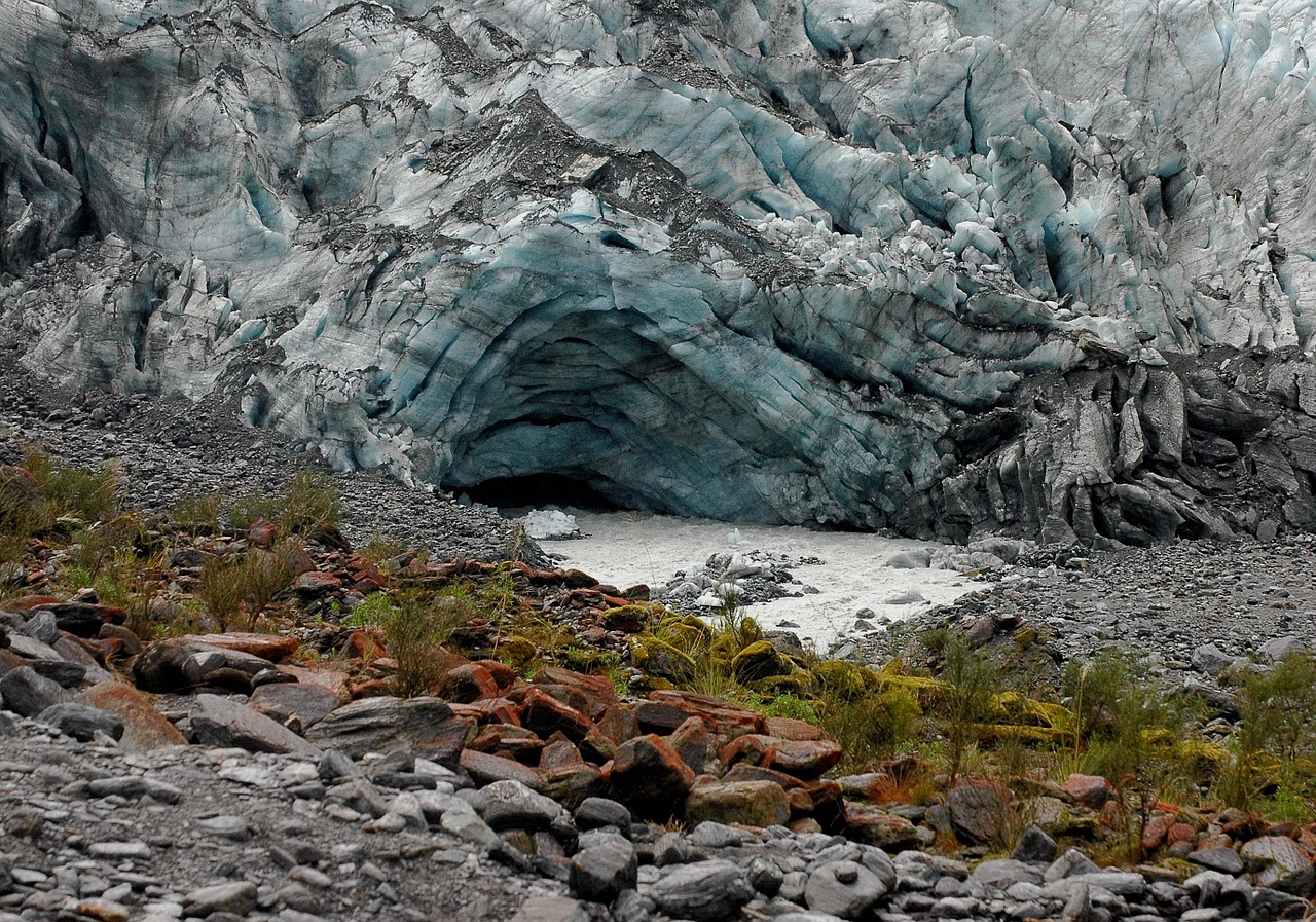 Fox and Franz Josef Glacier in Westland