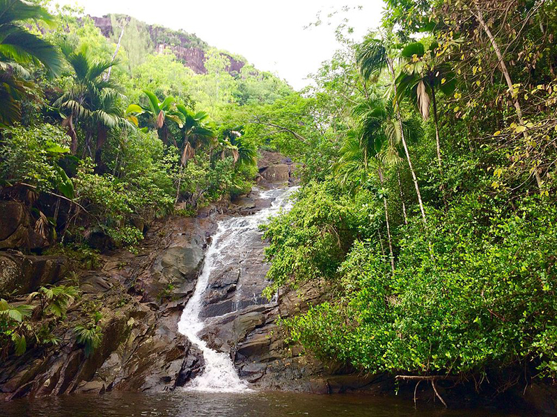 Praslin Waterfall in Seychelles