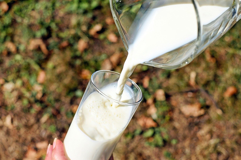 National Beverage of Country: Milk