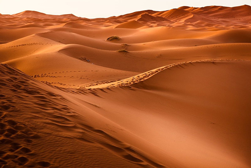 The Sloppy Sand Dunes